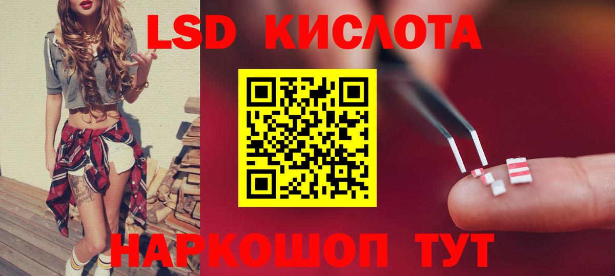 Галлюциногенные грибы Кохма