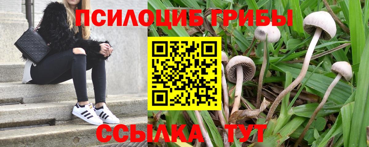 Псилоцибиновые грибы GOLDEN TEACHER  Вход с VPN  наркотики  Кохма 